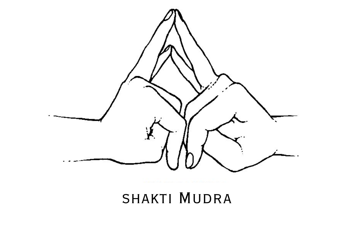 Shakti Mudra