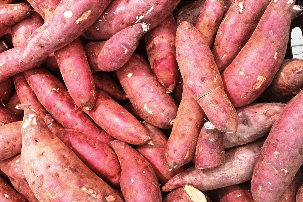 Sweet Potato Benefits