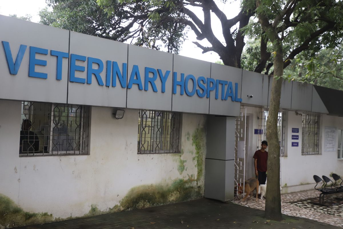 Tata Veterinary Hospital