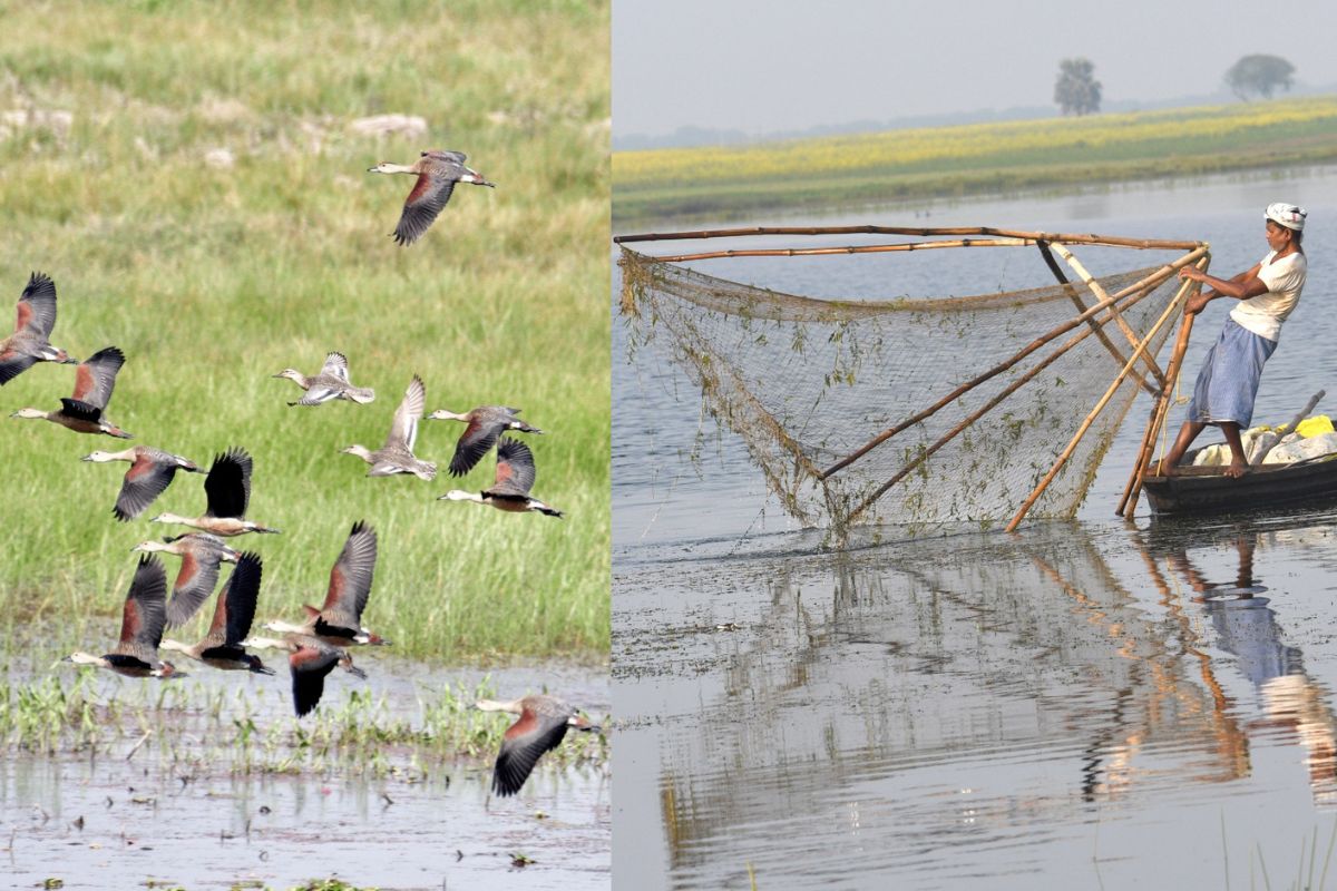 Wetlands In Bihar Health cards prepared there strict monitoring of health