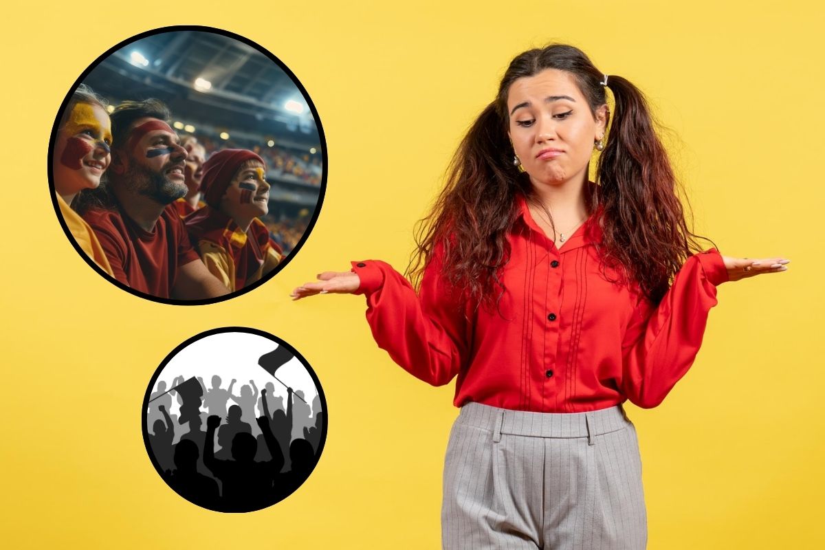 What is The Difference Between Fan and Fans