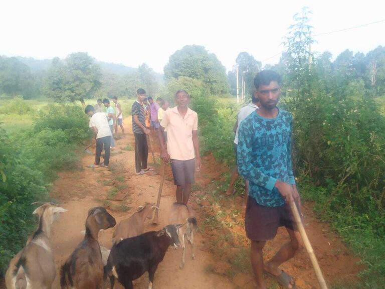श्रमदान कर ग्रामीणों ने सड़क की मरम्मत की