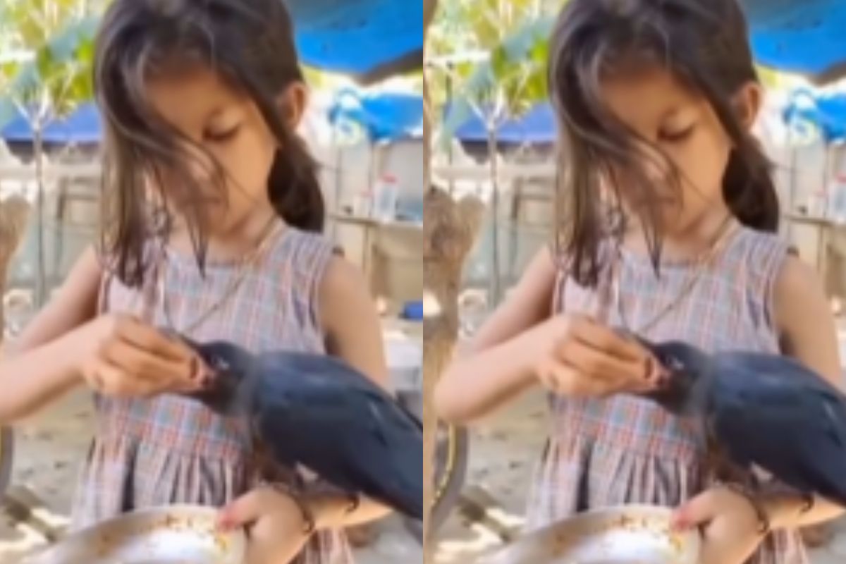 girl feeding crow