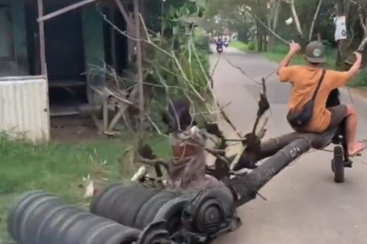 man made unique bike with wood log Viral Video