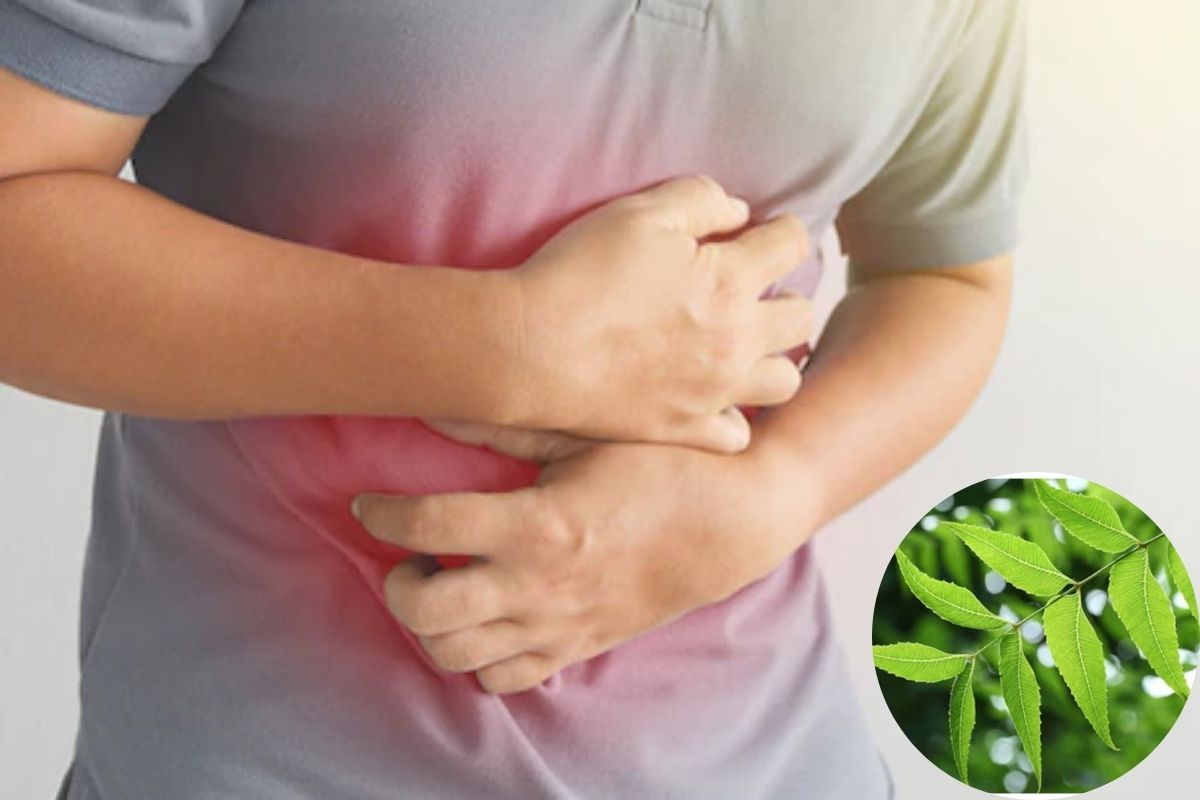 stomach cleaning leafe