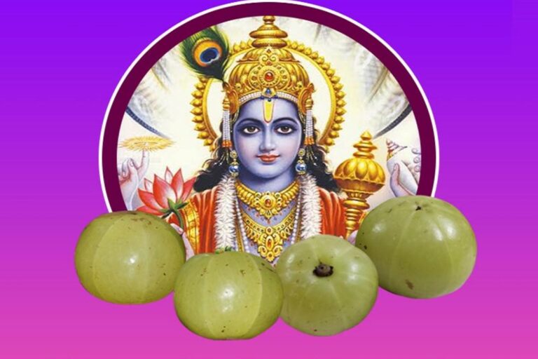 Akshaya Navami 2025: अक्षय नवमी पर अगर पूजा संभव न हो तो क्या करें