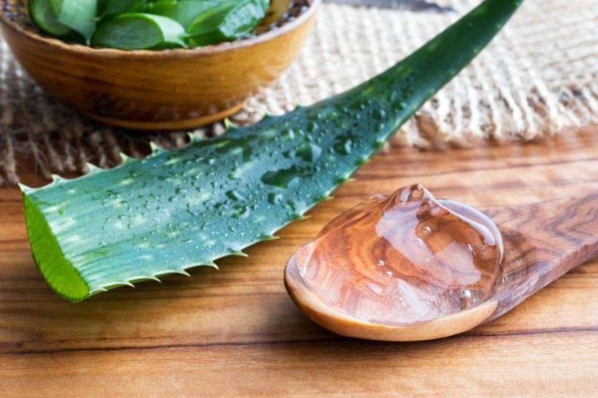 Aloe Vera Gel Skin Care Routine Min
