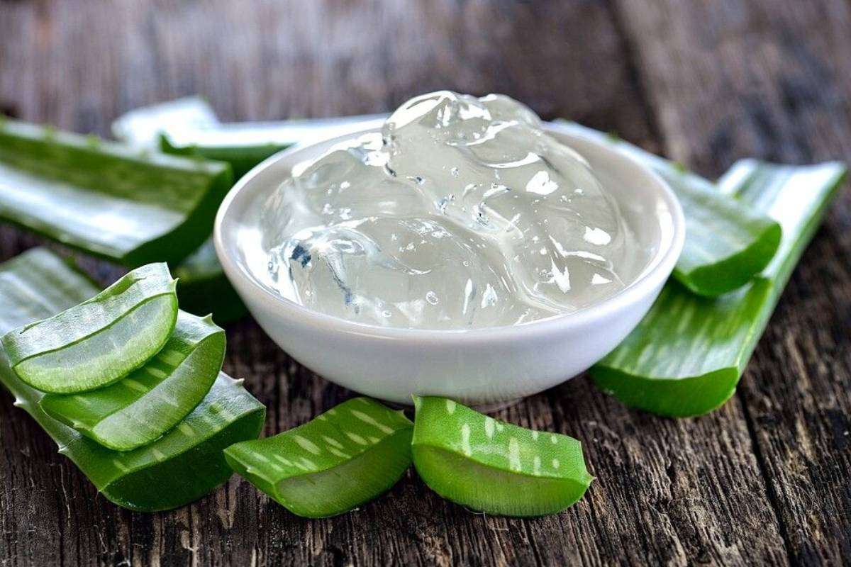 Aloe Vera Uses For Glowing Skin Min