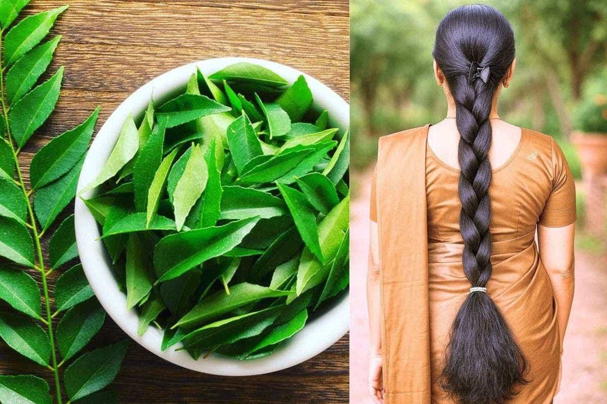 Curry Leaves For Hair Growth