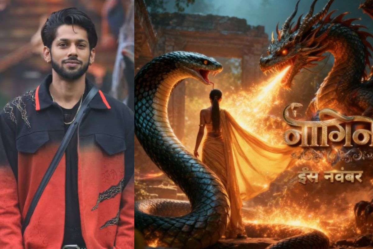 Fact Check Baseer Ali Entry in Naagin 7