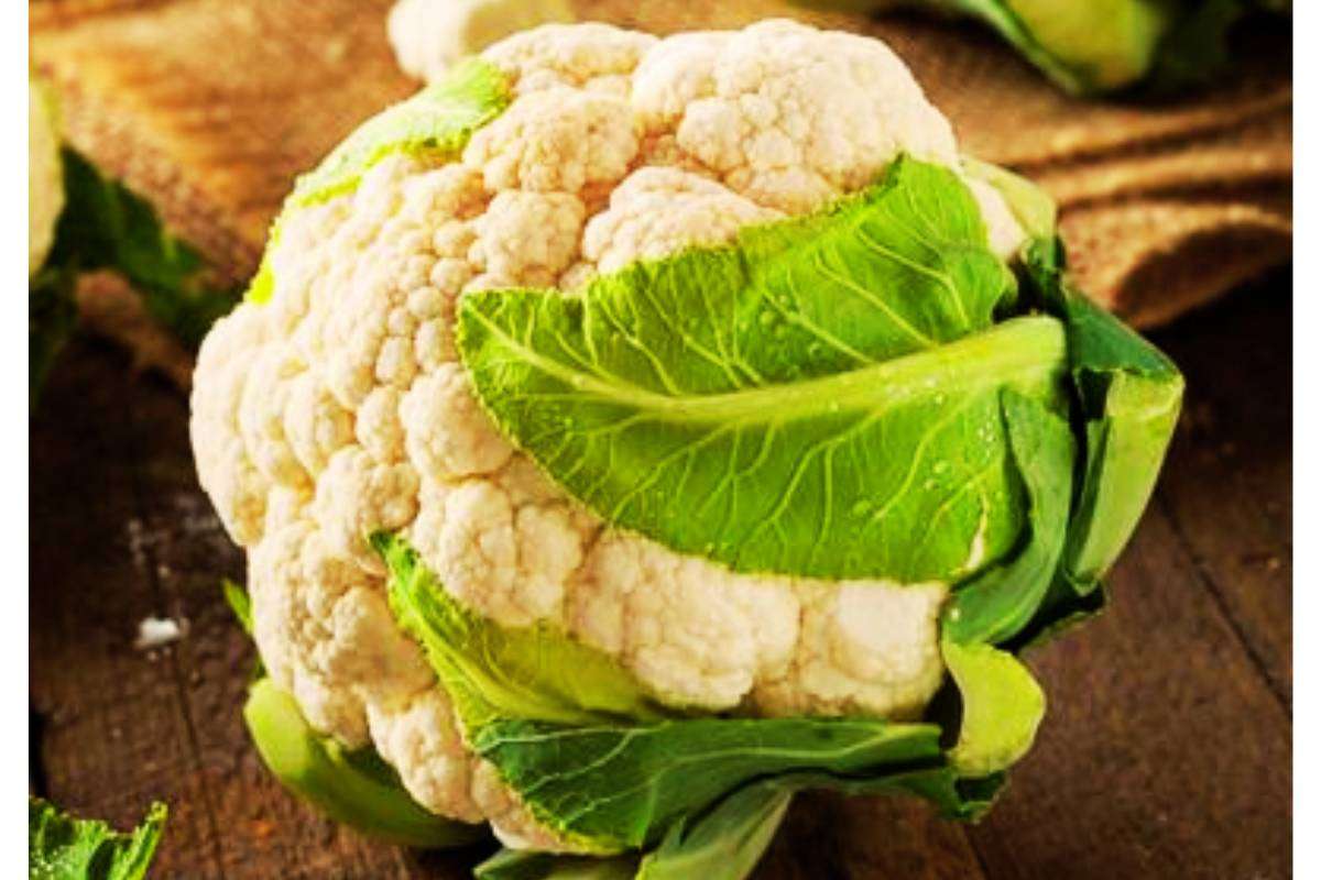Tips To Store Cauliflower For Long Time: फूल गोभी को स्टोर करने का सबसे आसान तरीका 1 How To Store Cauliflower To Last Longer Min
