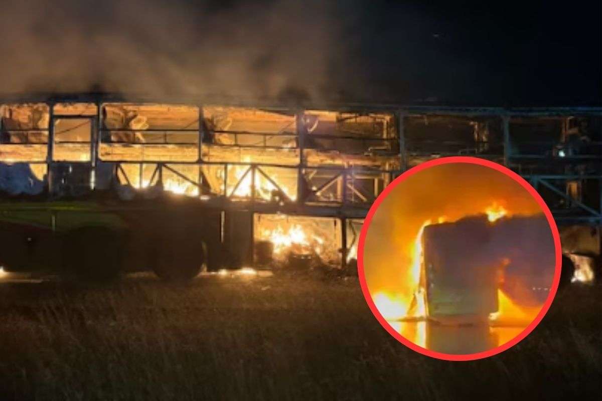 Hyderabad-Bengaluru Bus Accident