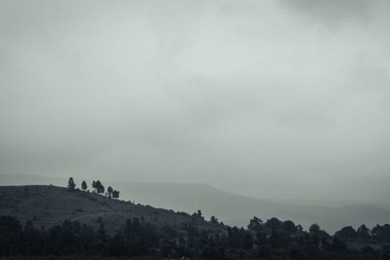 3-4 दिन में झारखंड से हो जायेगी मानसून की वापसी, बारिश से मिलेगी राहत