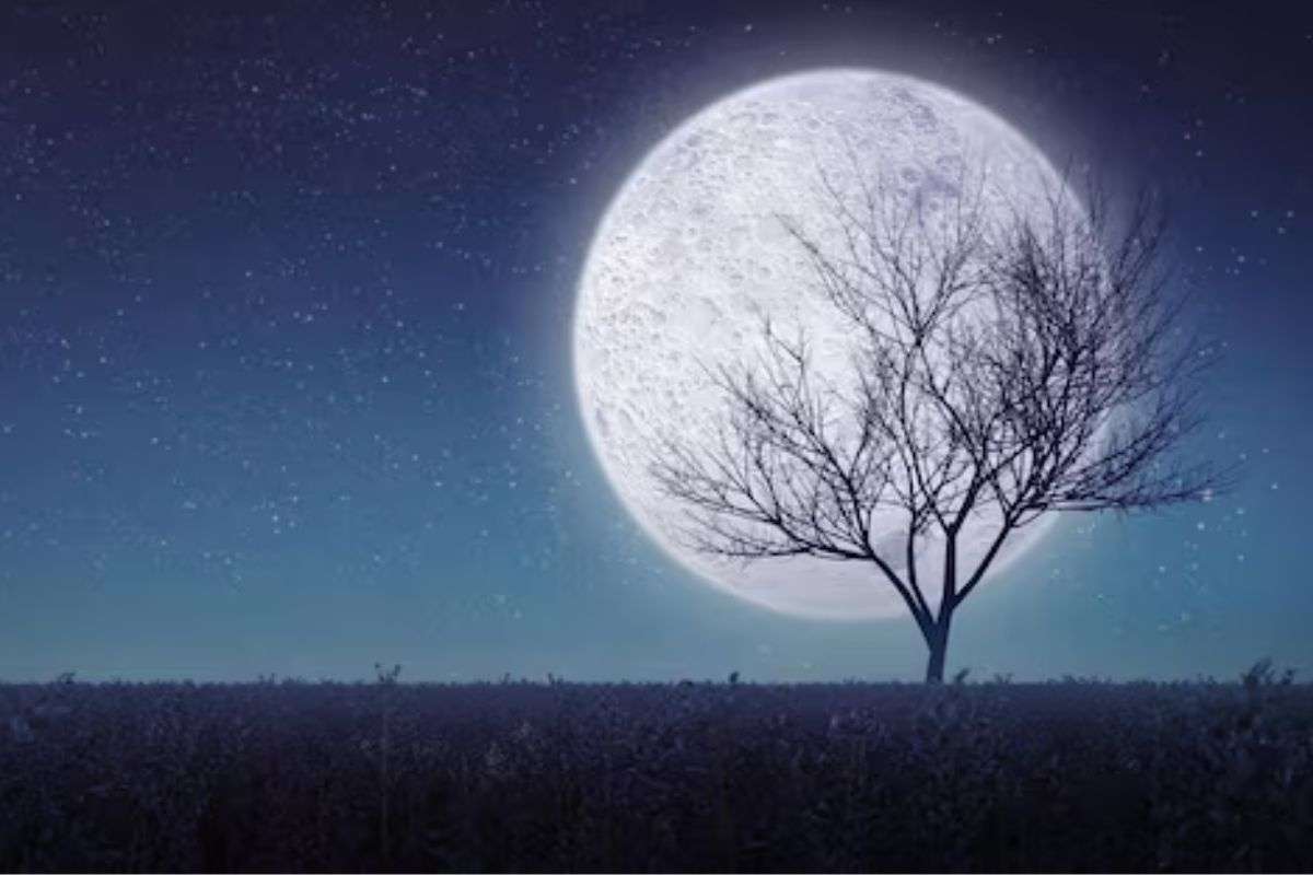 Kartik Purnima 2025 date shubh muhurat