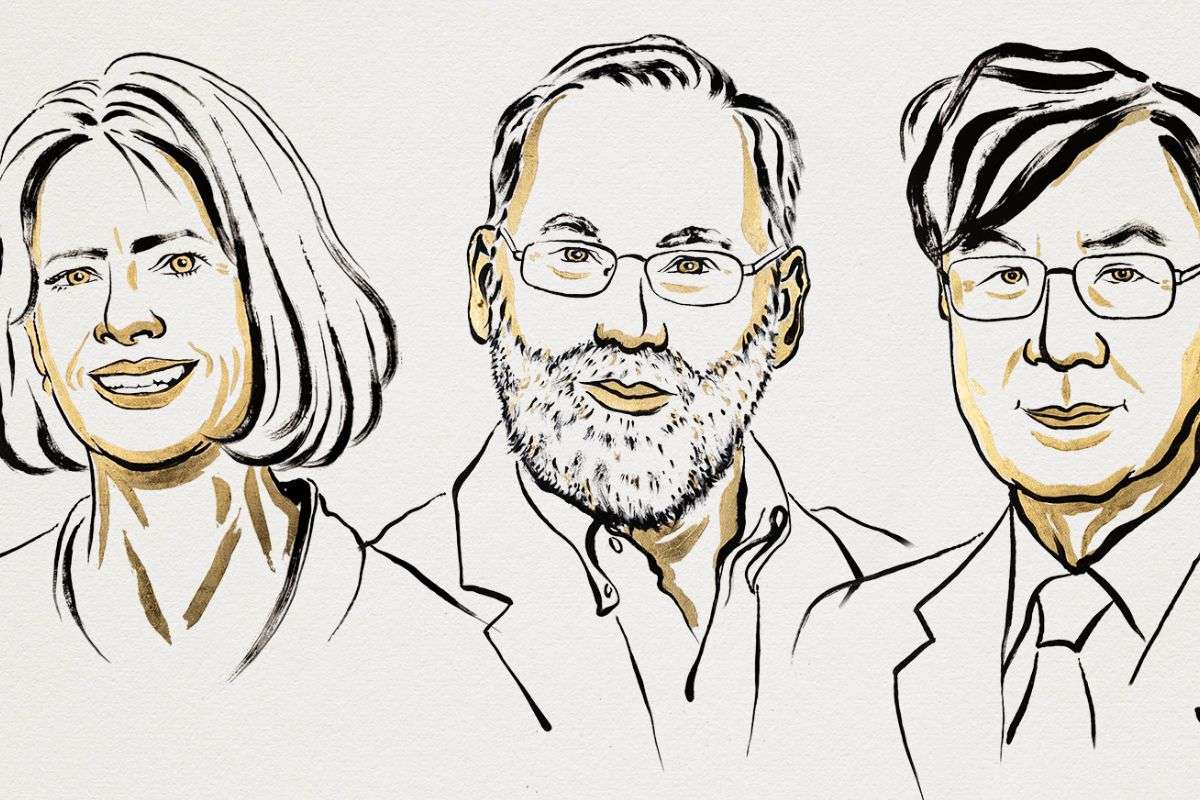 Nobel Medicine Prize Announced 2025 Mary Brunko Fred Ramsdell Shimon Sakaguchi Scientists Received