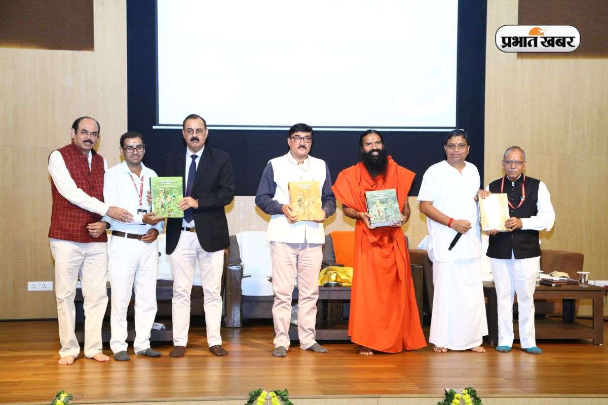 Patanjali University