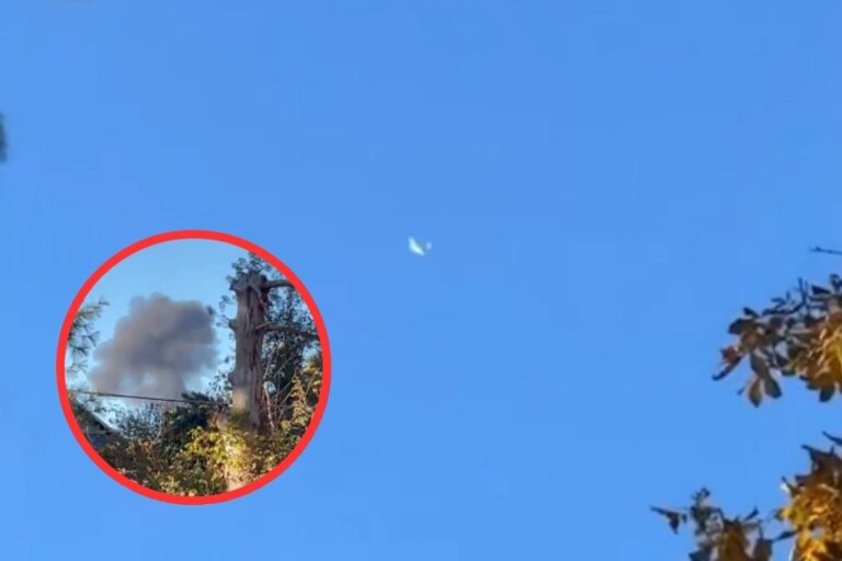 Plane Crashed : आसमान से पत्ते की तरह गिरा विमान, 3 की मौत, भयावह वीडियो आया सामने