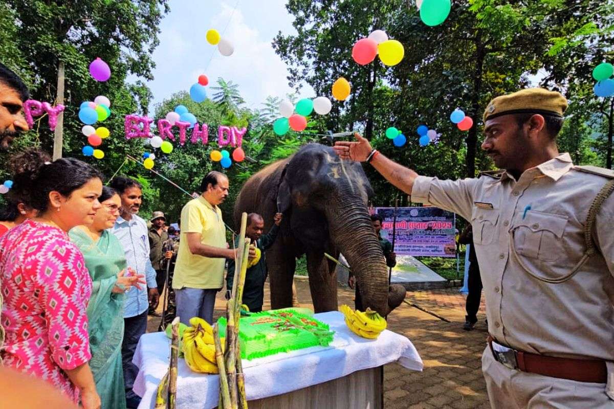 16 साल की हो गयी दलमा की ‘रजनी’, जन्मदिन पर कटा 16 पाउंड का केक 1 Rajni Celebrates 16Th Birthday In Dalma East Singhbhum