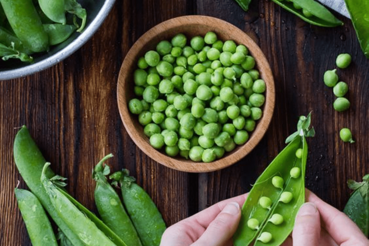 Home Gardening Tips to Grow Peas at Home