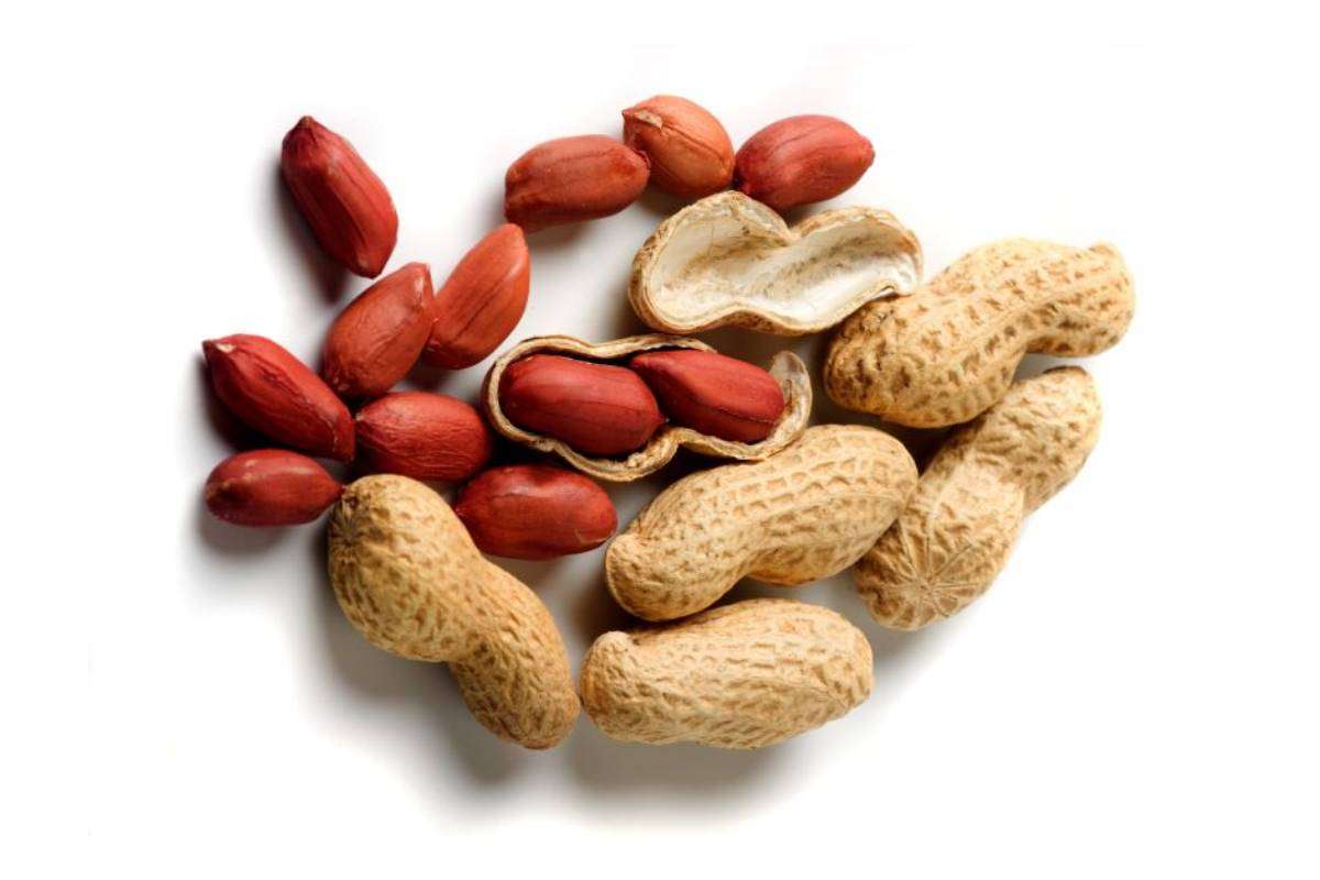 Tips to store Peanuts at Home for Long time min