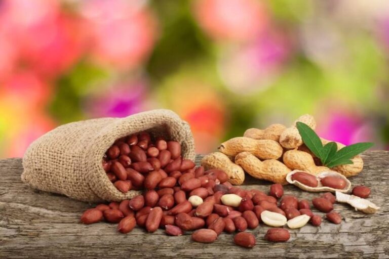 Tips to Store Peanuts at Home: इस तरह करें मूंगफली को स्टोर साल दो साल नहीं होगी खराब – जानें तरीके