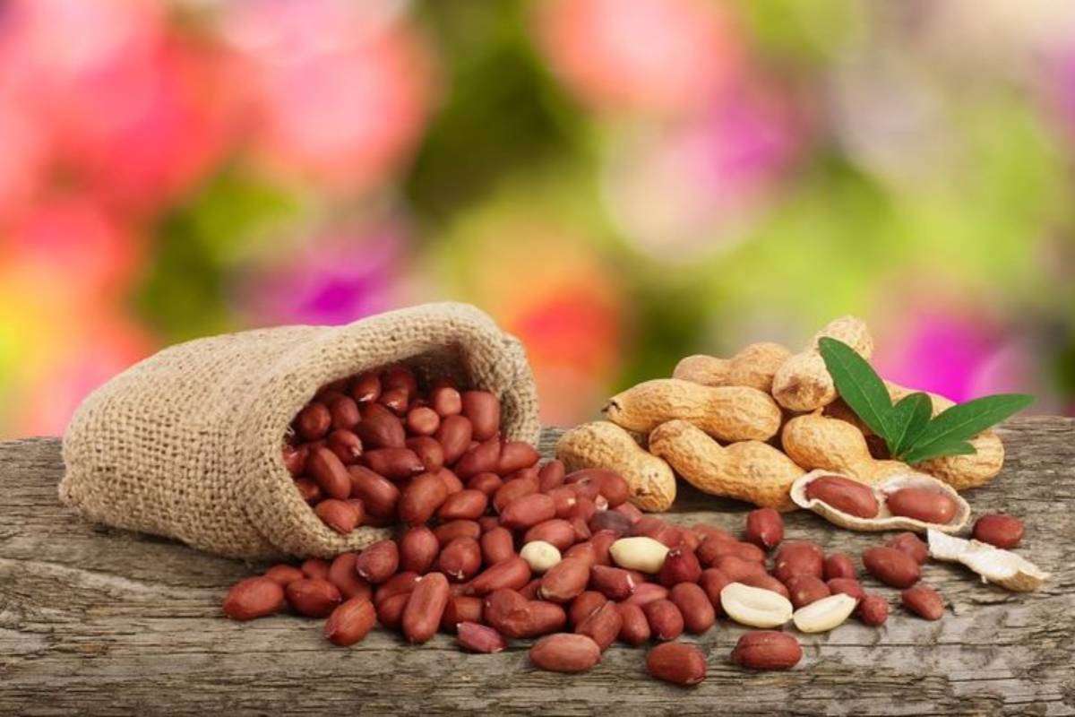 Tips to store Peanuts at Home for Long time