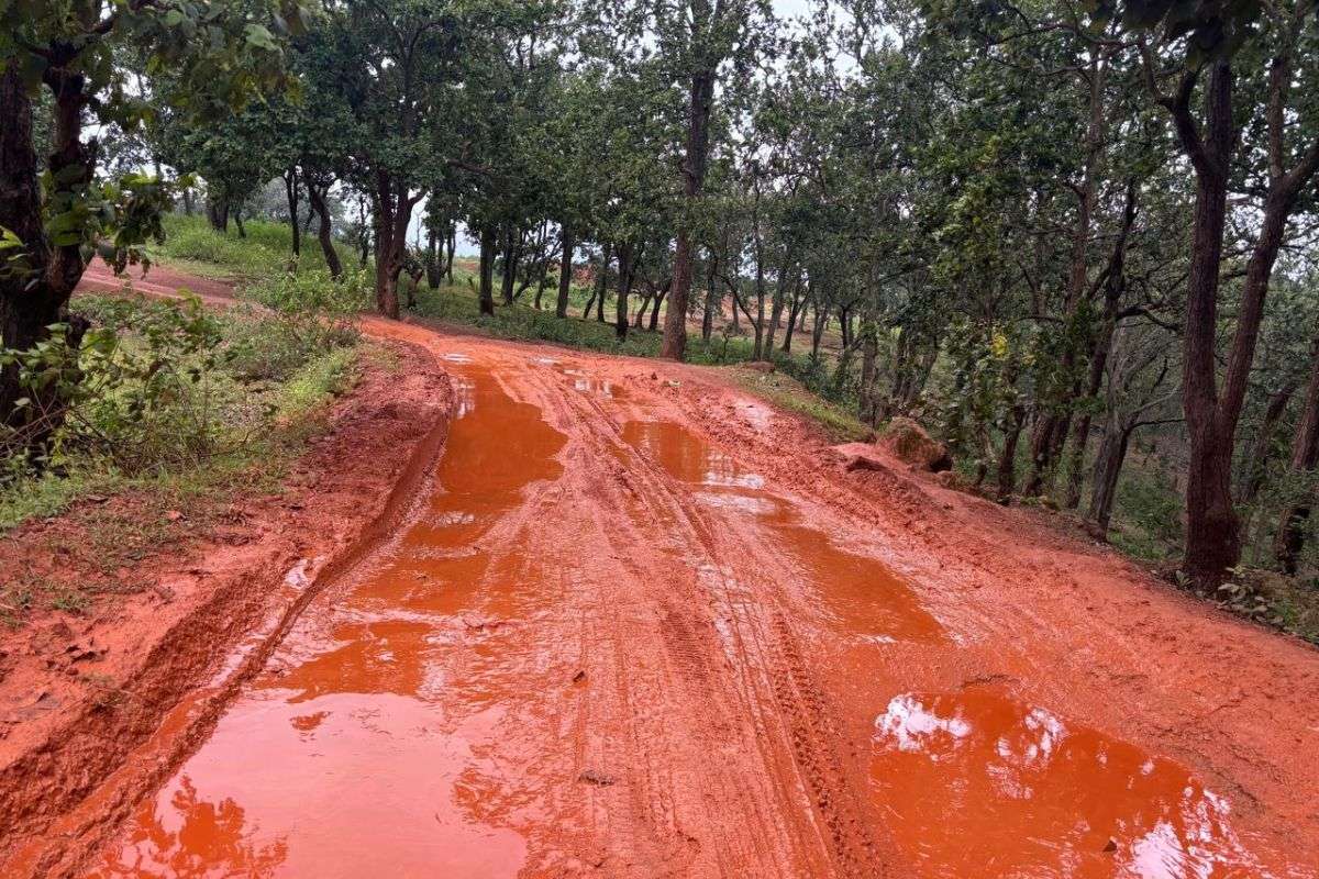 Weather Jharkhand News