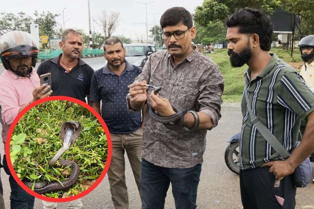 black cobra and snake catcher ramesh mahto