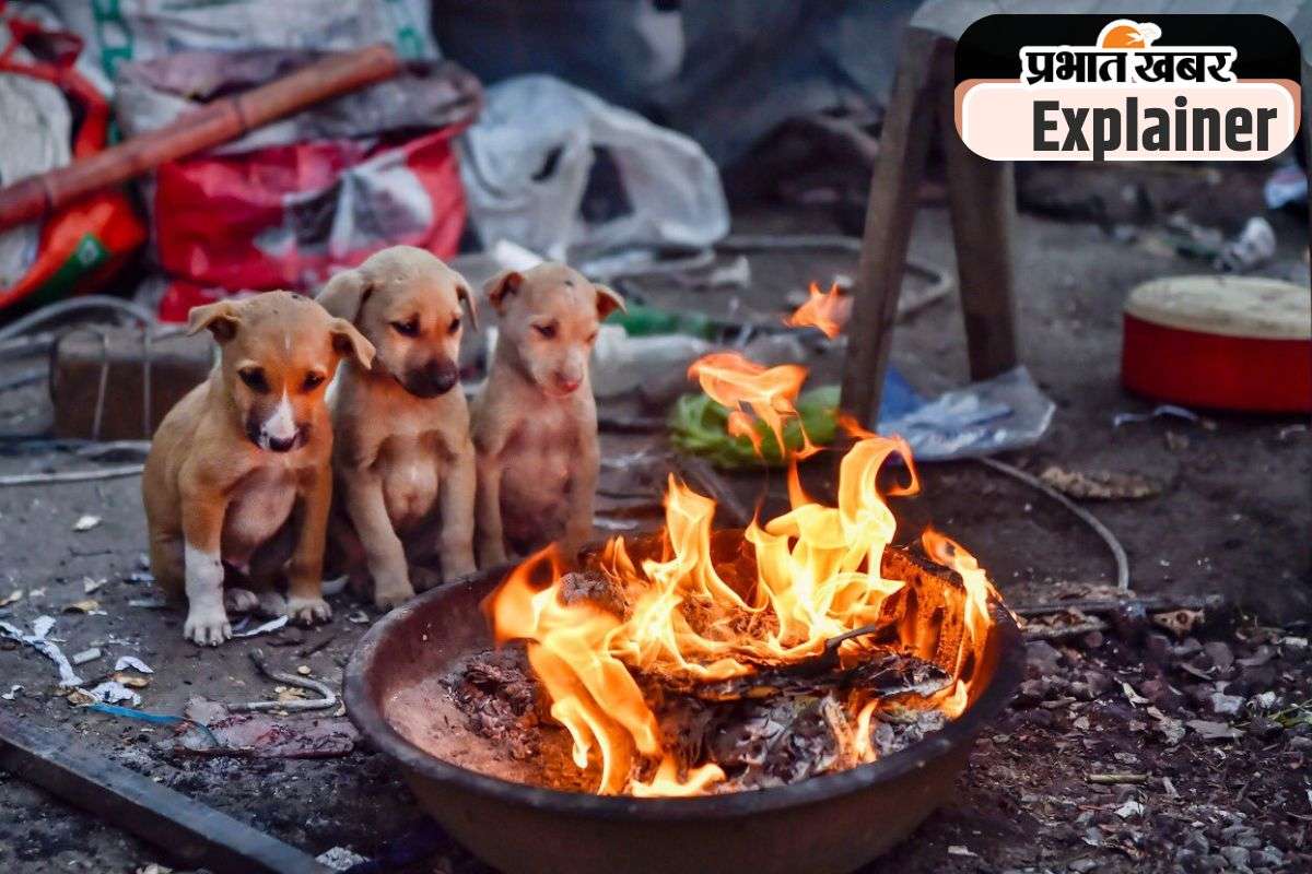 colder winter in india