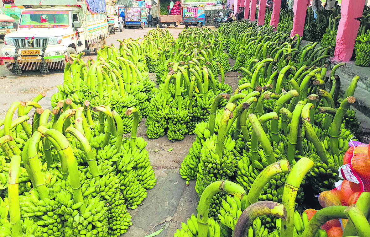 Dhanbad News : महापर्व छठ को ले कृषि बाजार फल मंडी में फलों की आवक शुरू