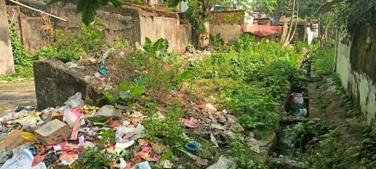 चितरा: दुकानदारों ने की नालियों की साफ-सफाई कराने की मांग