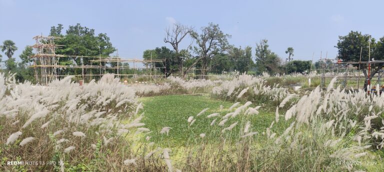 Motiharai : कचड़े एवं झाड़ियों के बीच खड़े होकर अर्घ देंगे छठ व्रती