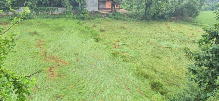 मोंथा साइक्लोन का दूसरे दिन भी रहा असर, बारिश व हवा से बढ़ी ठंड