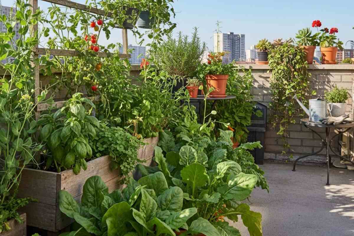 gardening tips image