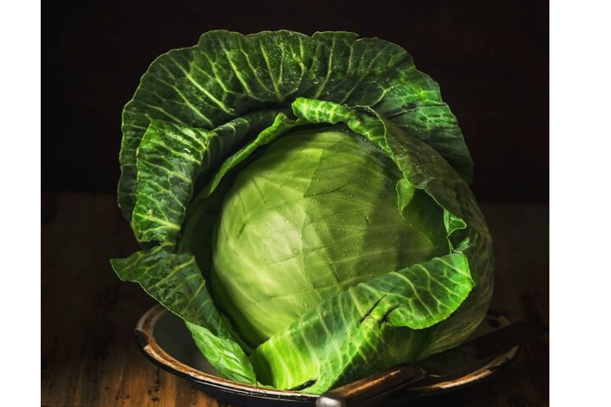 Vegetable To Grow In October: अक्टूबर महीने में आसानी से ग्रो करती है ये सब्जियां 3 Image 6