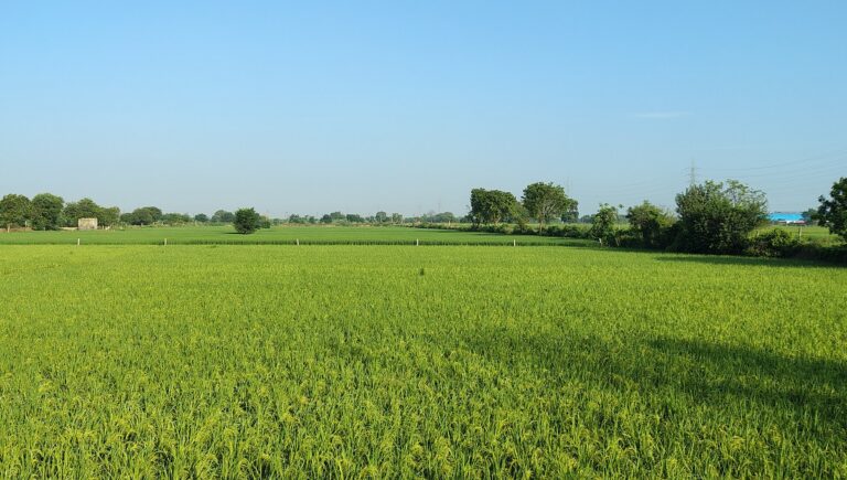 Land Reform: भूमि सुधार पर देश के विशेषज्ञ करेंगे मंथन