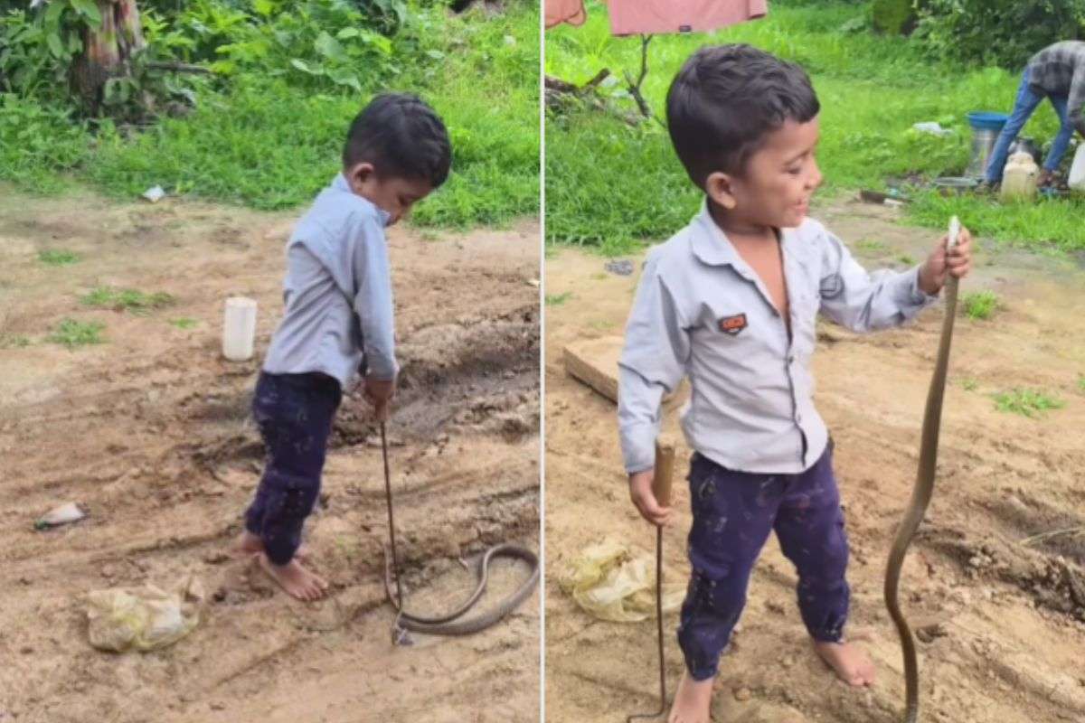 viral video boy rescues snake in second