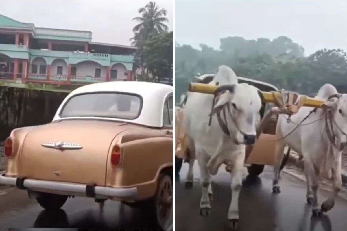 viral video man turns luxury car into bullock cart