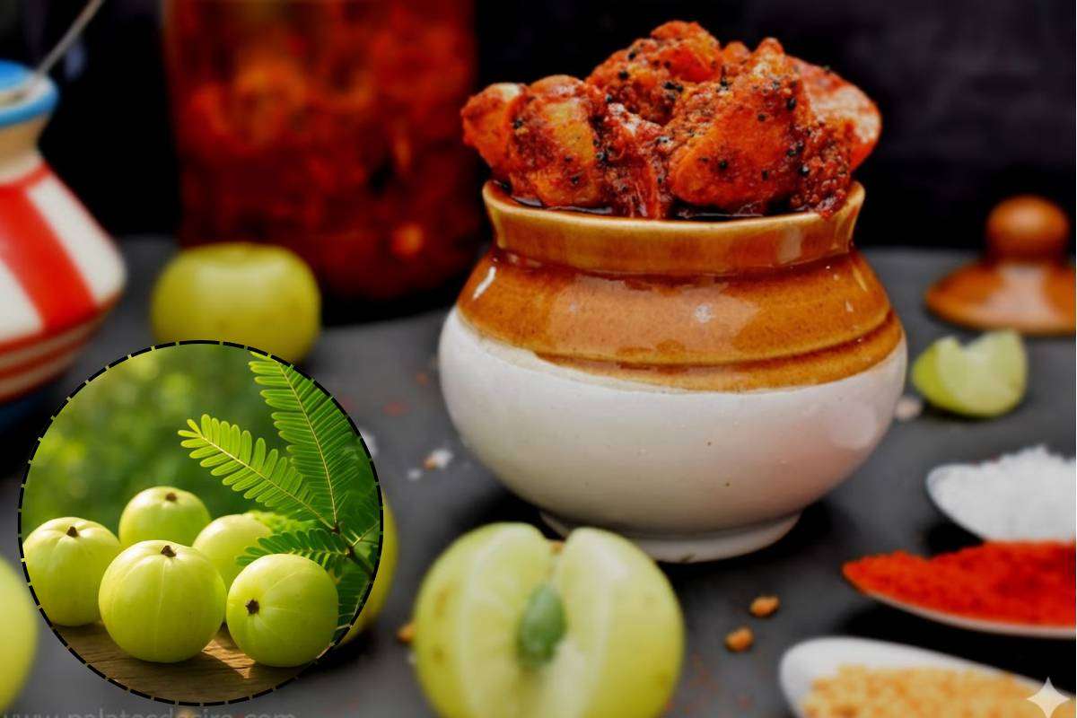 Amla Pickle Recipe Without Boiling: बिना उबाले आंवले का अचार कैसे बनाएं पंजाबी स्टाइल में? पढ़ें ये रेसिपी 2 Amla Pickle Recipe Without Boiling Punjabi Style Min