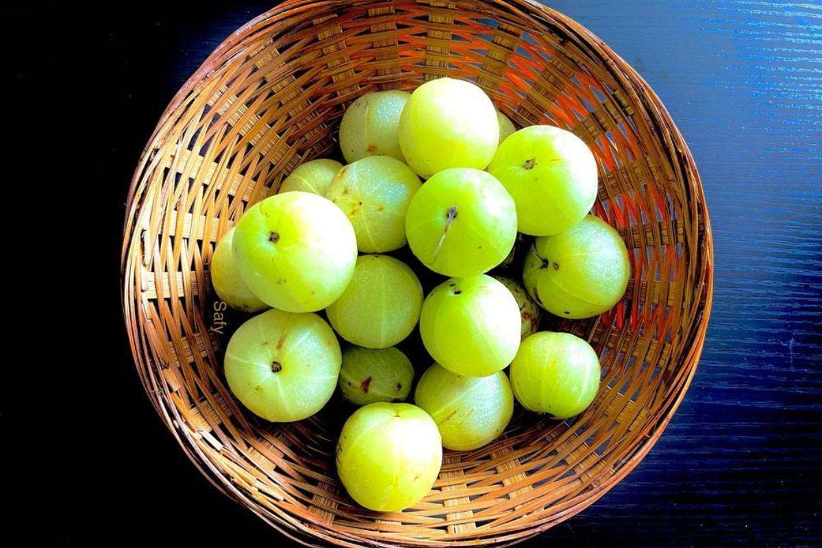 How to make roasted amla chutney for immunity at home