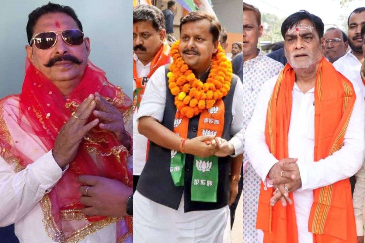 Bihar Election Result 2025 NDA wins 11 out of 14 assembly seats