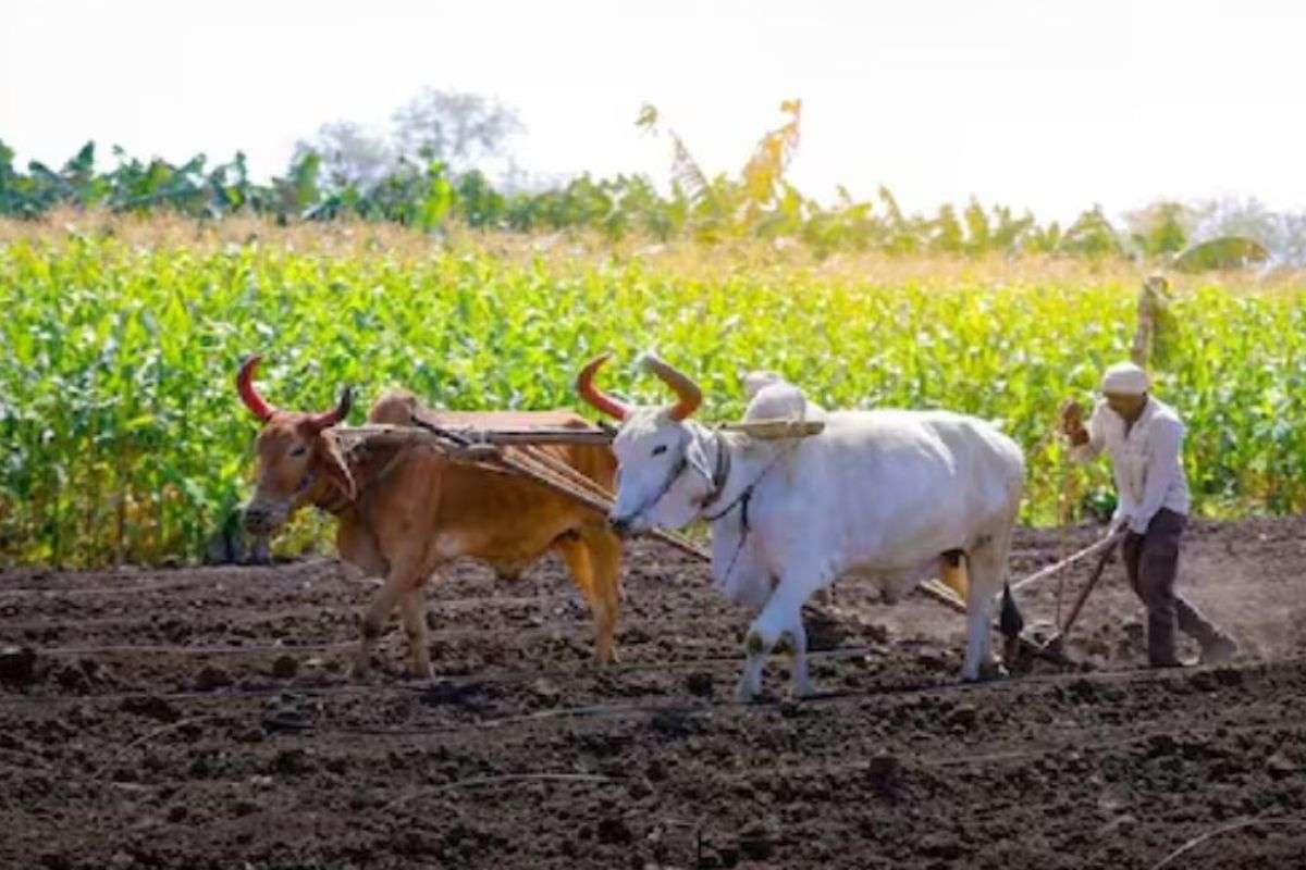 Bihar News for farmers cost of irrigating fields will decrease