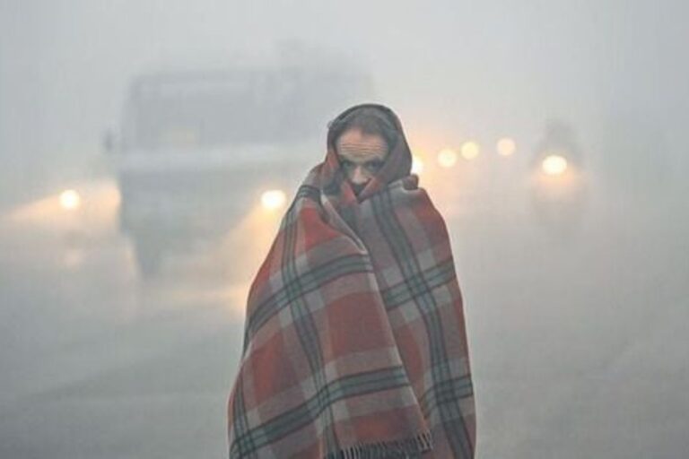 Cold Wave Warning : सावधान! अगले 5 दिनों तक चलेगी शीतलहर, मौसम विभाग ने जारी किया येलो अलर्ट