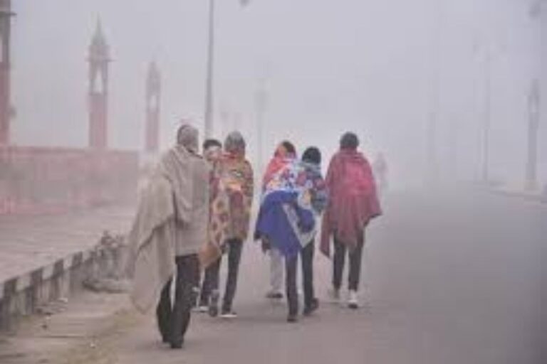 Bihar Weather Update: बिहार में पारा गिरने से बढ़ी ठंड, जानिए आगे कैसा रहेगा मौसम