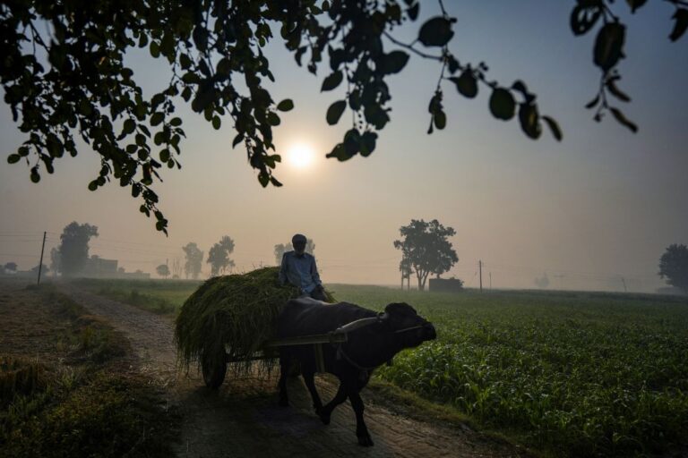 Delhi Cold Wave: दिल्ली में शीतलहर ने दी दस्तक, न्यूनतम तापमान 9.9 डिग्री सेल्सियस
