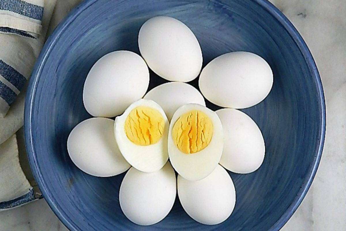 Tips To Store Eggs For Long Time: लंबे समय तक अंडे स्टोर करने का सबसे अच्छा तरीका क्या है? 1 Tips To Store Eggs For Long Time: जानें अंडे को लंबे समय तक फ्रेश रखने के 3 आसान और असरदार टिप्स