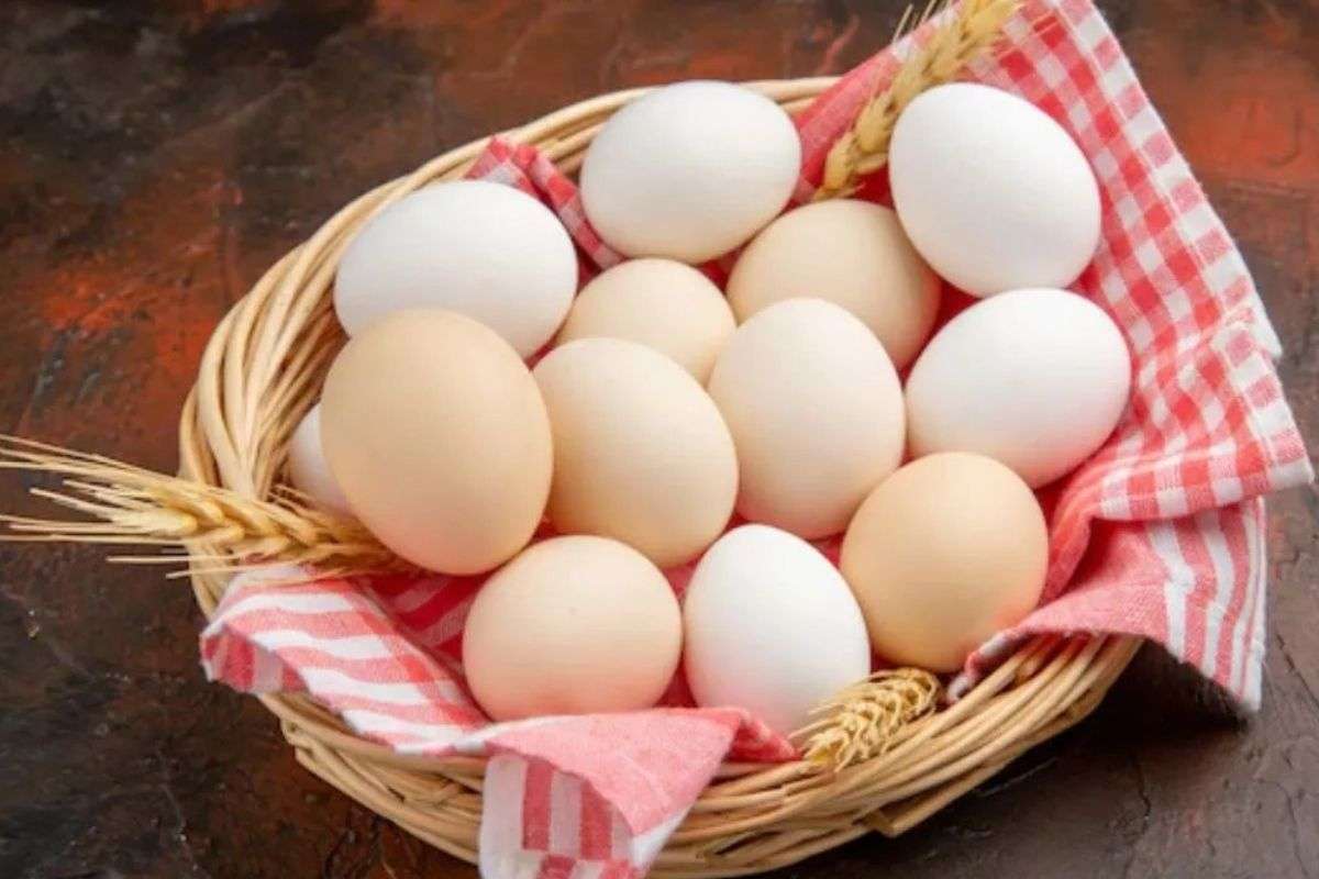 Eggs from here have become first choice of the people of Bihar