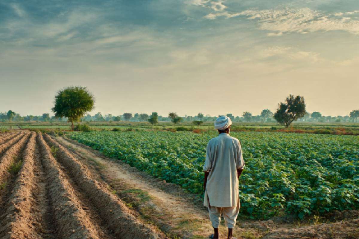 Ek Gaon Ek Fasal Yojana