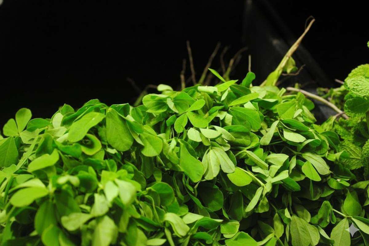 Methi Thalipeeth Recipe: नाश्ते में सर्व करें गरमागरम और कुरकुरा मेथी थालीपीठ – पढ़ें आसान रेसिपी 1 Methi Thalipeeth Recipe Ingredients