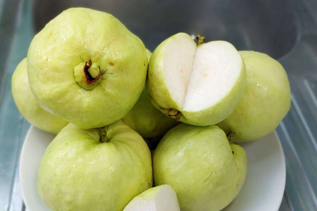 Guava Chaat Recipe: सर्दियों में बनाएं चटपटी अमरूद की चाट, स्वाद के साथ मिलेगी सेहत भी 1 Guava Chaat Recipe